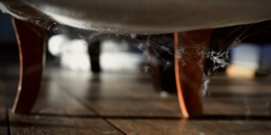 cob webs under chair in house