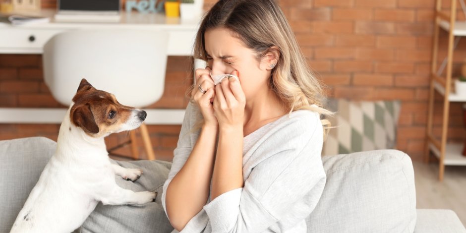 The Link Between Proper Insulation & Better Indoor Air Quality blog header image 