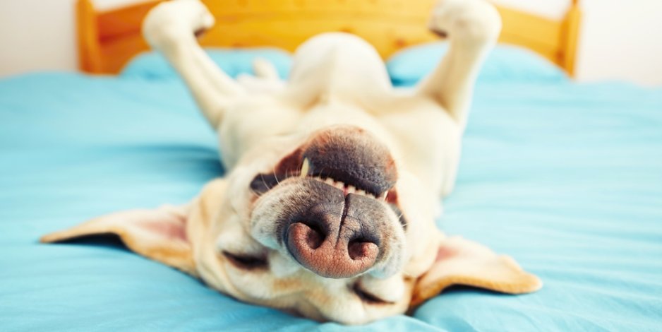 Comfort starts with an energy audit, Home Energy Medics, VA