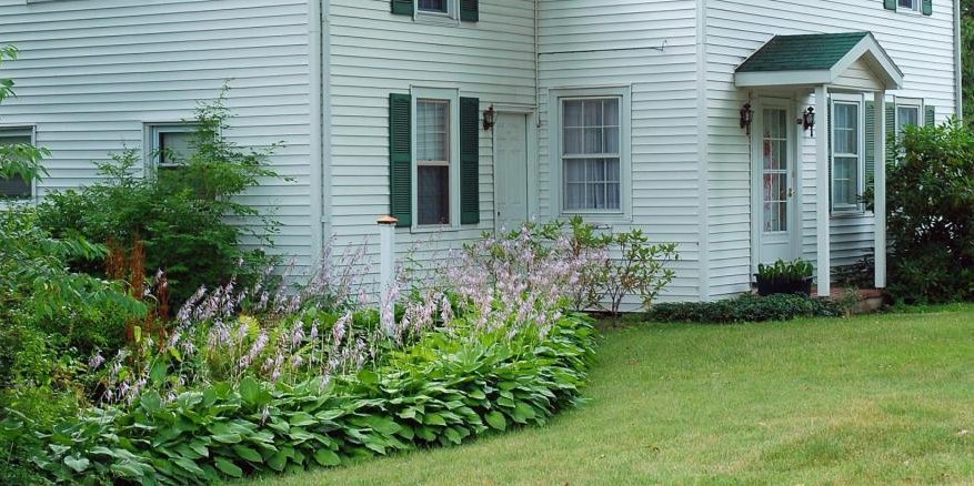 The ROI of Insulation & Air Sealing: How Much Can You Really Save? blog header image 